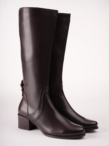 REGARDE le CIEL Women's Brown Leather Knee-High Boots